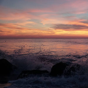 Meet your Posher, Sonam